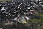 The specialists found at the scene of the disaster Boeing in Ukraine remains fresh

