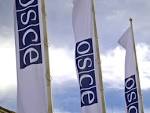 The OSCE PA will send observers to the parliamentary elections in Ukraine
