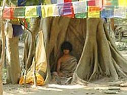 Nepalese boy considered as new Buddha incarnation