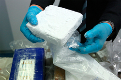 Nine Russians seized 30 kilograms of cocaine