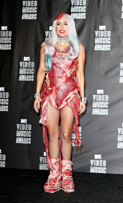 GaGa`s meat dress to be turned into `jerky`