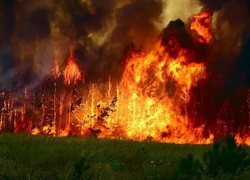 Krasnoyarsk Krai is on fire