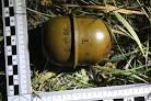 Man detonated a grenade
