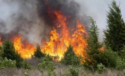 A day in Russia eliminated about hundreds of forest fires