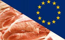 Russian experts to inspect Polish meat companies
