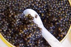 European police declared war to Russian black caviar