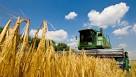 Ukraine hopes to increase quotas on import of agricultural products in the EU
