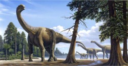 In Australia found the largest dinosaur footprint
