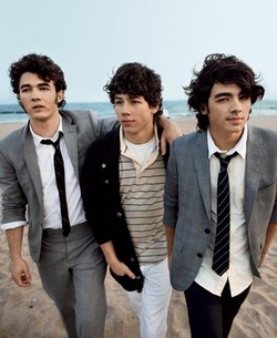 The Jonas Brothers had to be rescued