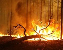 Fears of 2010 wildfires returning to Moscow