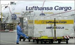 Lufthansa willing to move cargo hub to Russia: German ministry