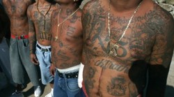 Members of the gang MS-13 were indicted in the murder