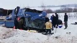 In an accident with a bus in the Kaluga region killed seven people