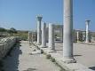 The Governor of Sevastopol gave the order to test the activity of Chersonesos
