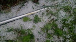 The Chelyabinsk region was hit by hurricane and hail