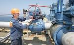 Ukraine asks EU to give up half of its gas from Russia
