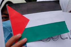 Palestine asks Interpol