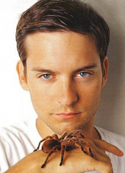 Tobey Maguire impersonates other actors