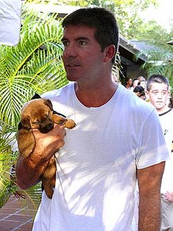 Simon Cowell claims no immediate plans to get married