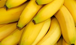 Bananas found 237 kg of cocaine