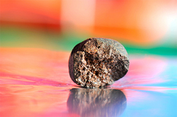 Life from Mars to Earth brought meteorite