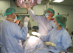 In Moscow, held a unique operation on transplantation of a kidney
