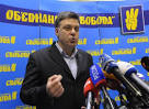 Ukrainian nationalists "Freedom" was re-elected Tiahnybok their leader
