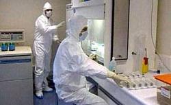Novosibirsk scientists to make up collection of bird flu viruses
