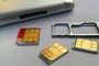 Soon, the sim card may replace a passport.