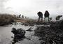 Russia may ban river oil shipments after spill